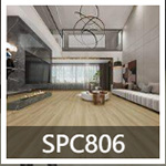 ispc 806